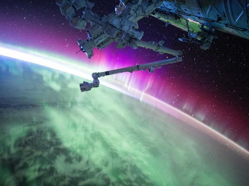 Decodificador JWT Online Gratis 2025 | Guía Completa de JSON Web Tokens